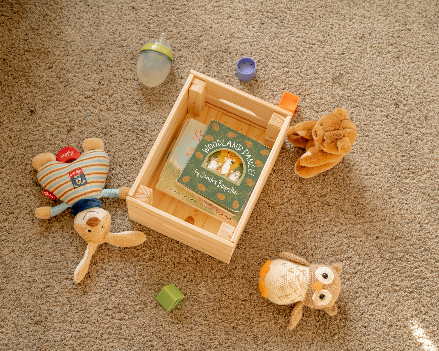 Sensory Toys