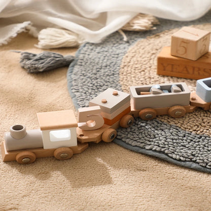 Wooden Train & Aircraft Toy
