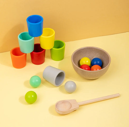 Montessori Wooden Color Sorter