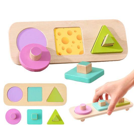 Montessori Sorting & Stacking Puzzle Toy